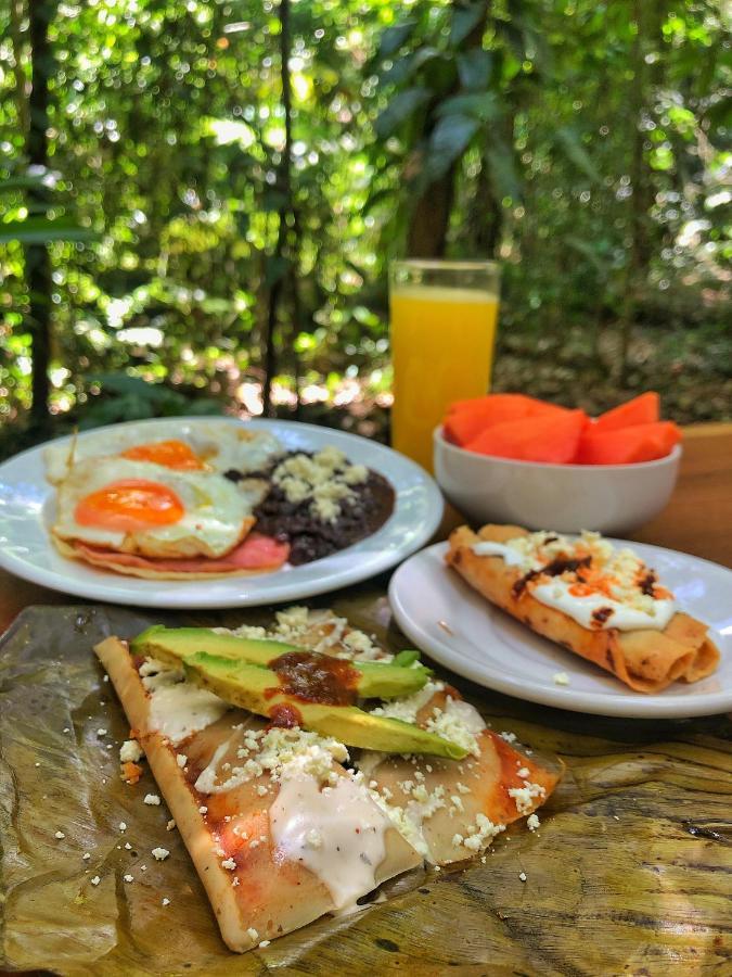 Finca Vallescondido El Caobano 外观 照片