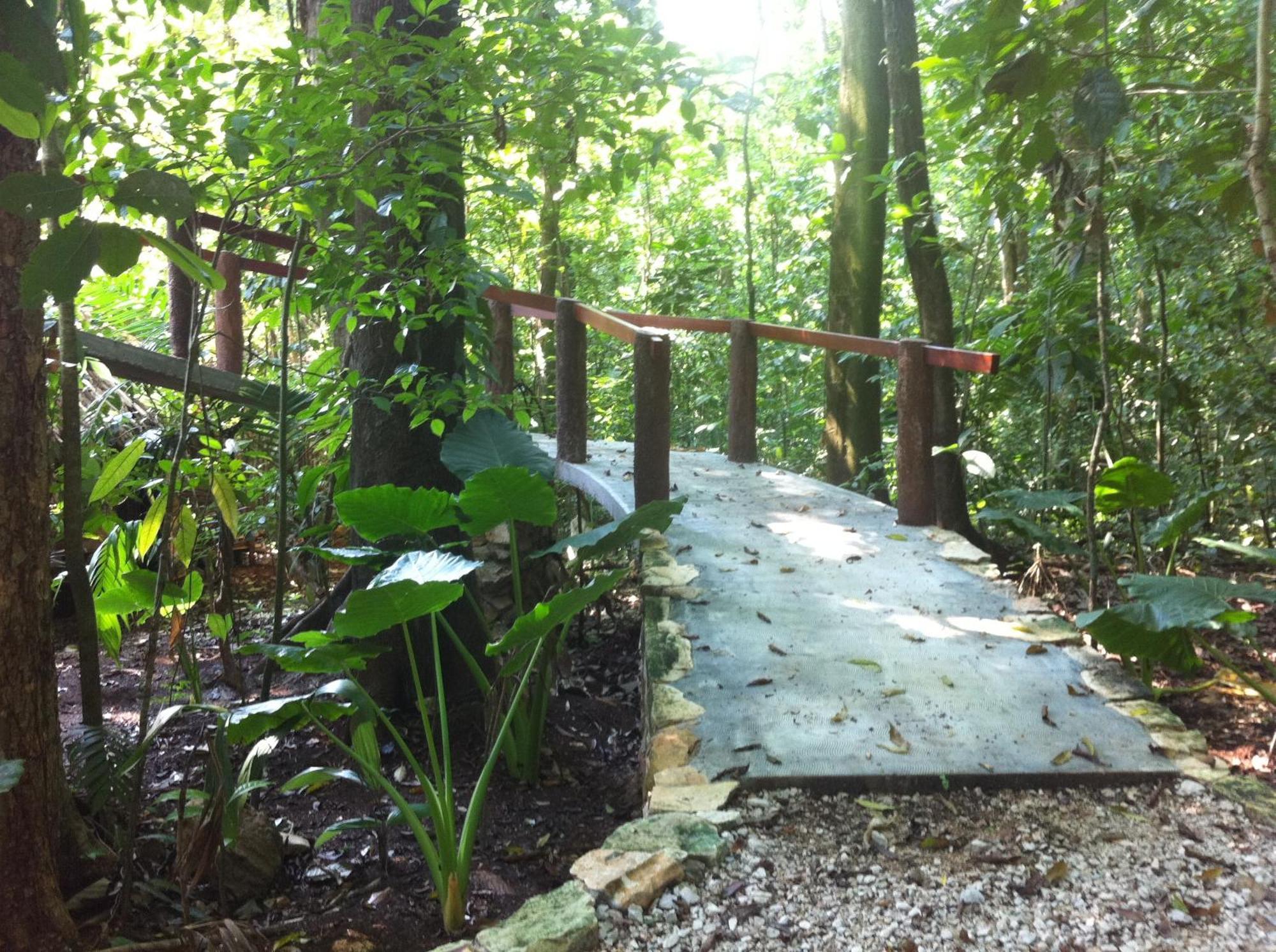 Finca Vallescondido El Caobano 外观 照片