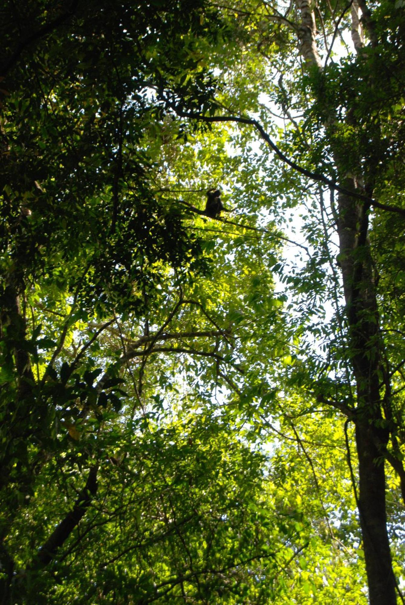 Finca Vallescondido El Caobano 外观 照片